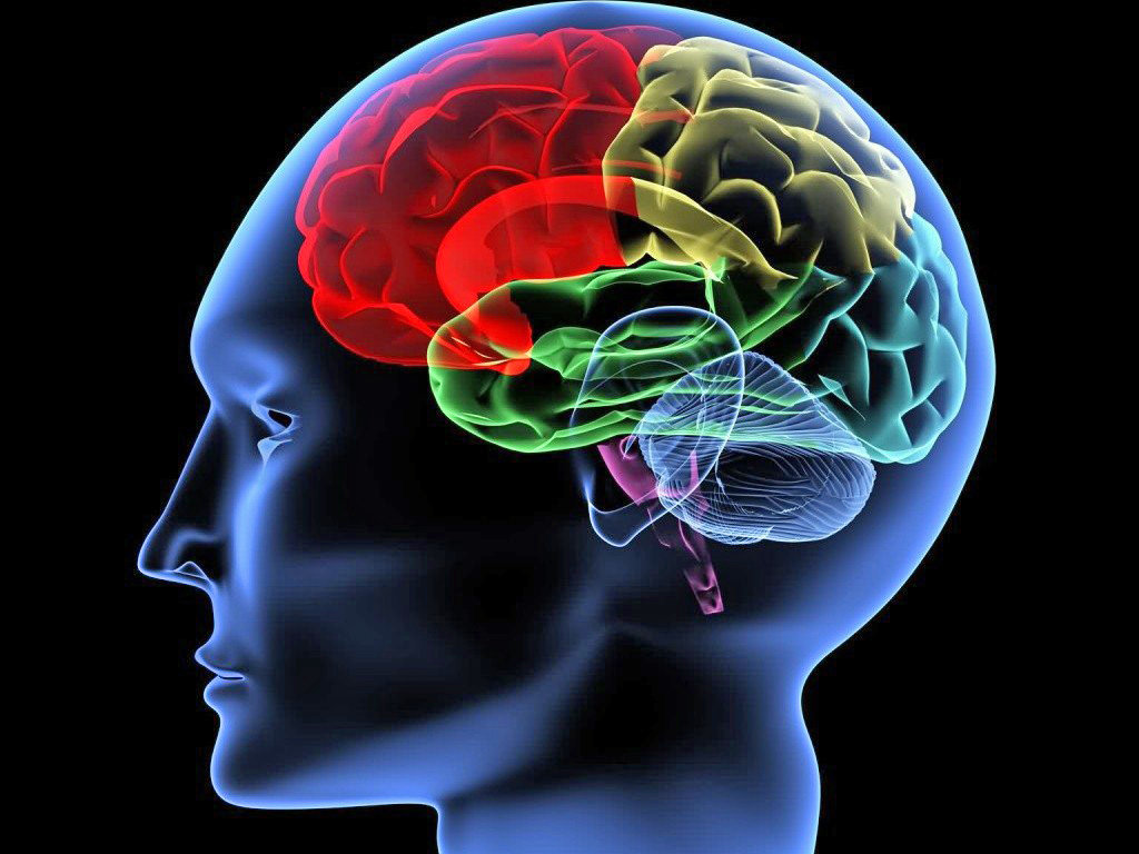 Religia și jocurile de noroc acționează în mod similar asupra creierului