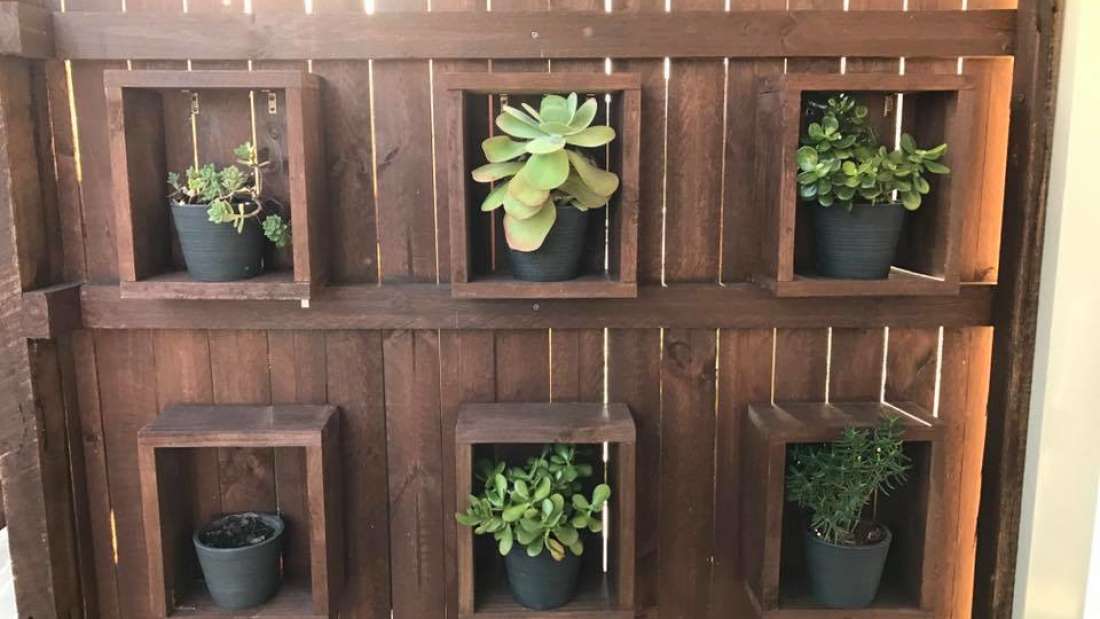 Această poză este un test pentru viitorii vânători de șerpi [FOTO]