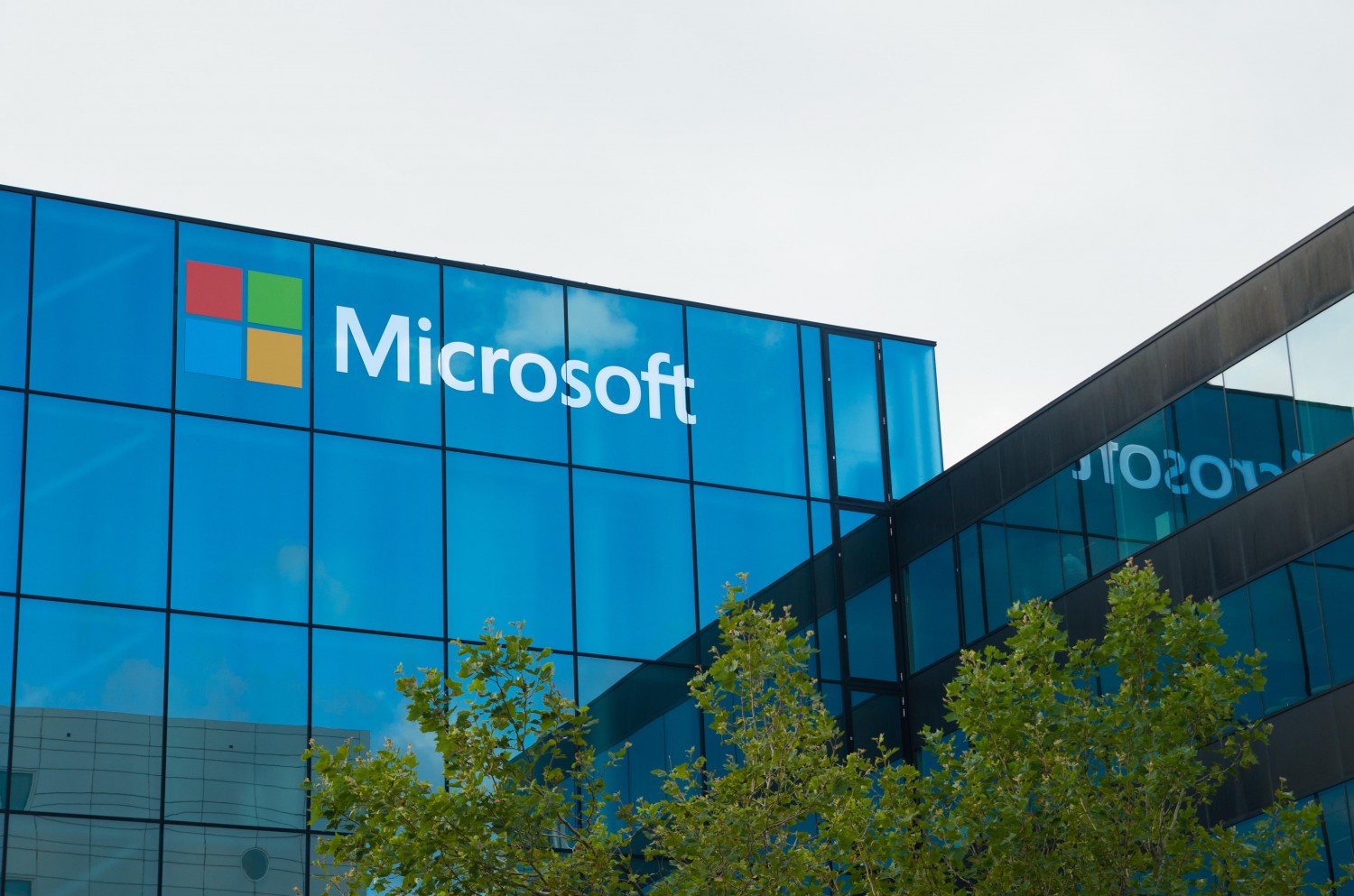 Microsoft cere administrației Trump excepții în privința ordinului de imigrație
