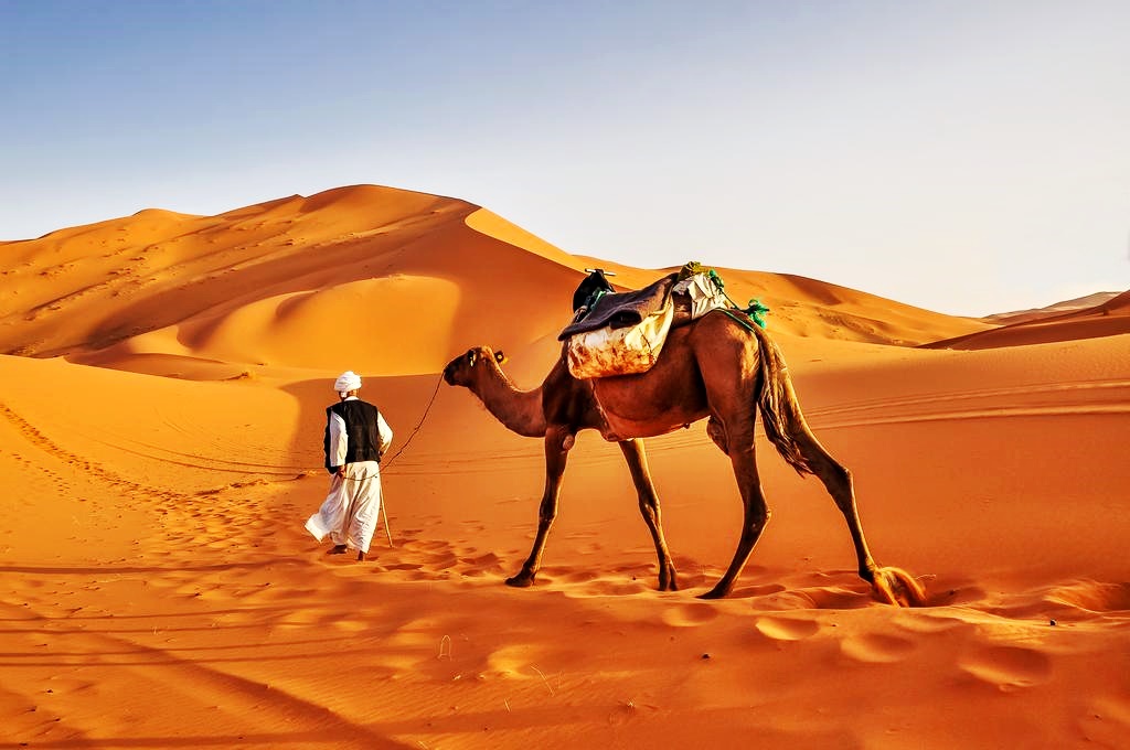 Deșertul Sahara