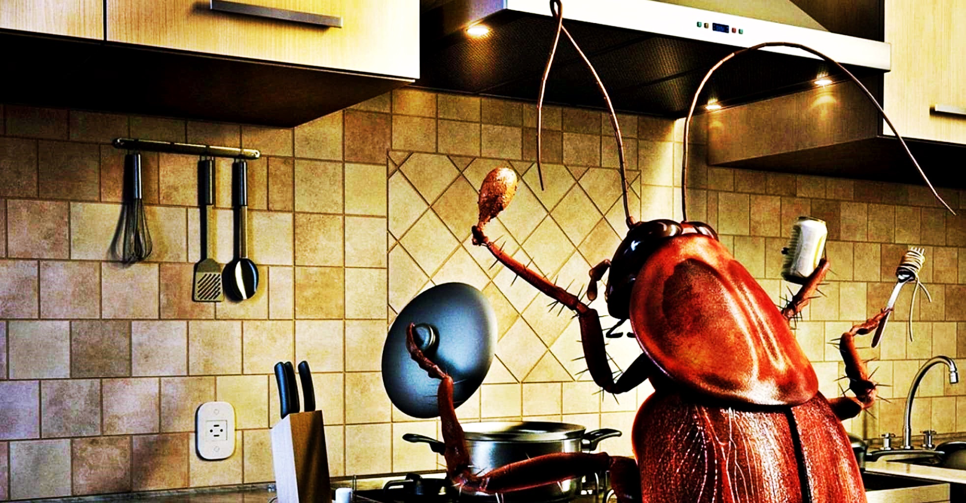 Cum scapi de gândaci în bucătărie și baie – 5 metode de încercat în casă