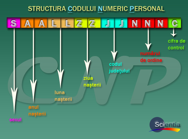 Semnificația numerelor din CNP. Cum poate fi descifrat pas cu pas Codul Numeric Personal