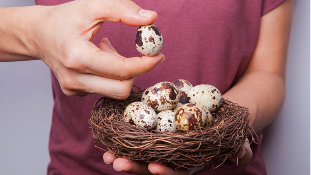 Câte calorii are un ou de găină, prepeliță, rață, curcă și gâscă Câte calorii are un ou de găină, prepeliță, rață, curcă și gâscă