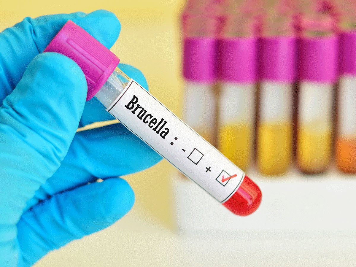 Peste 6000 de chinezi au fost testați pozitiv 