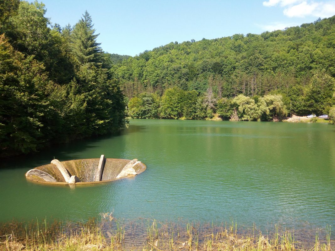 Lacul Vida