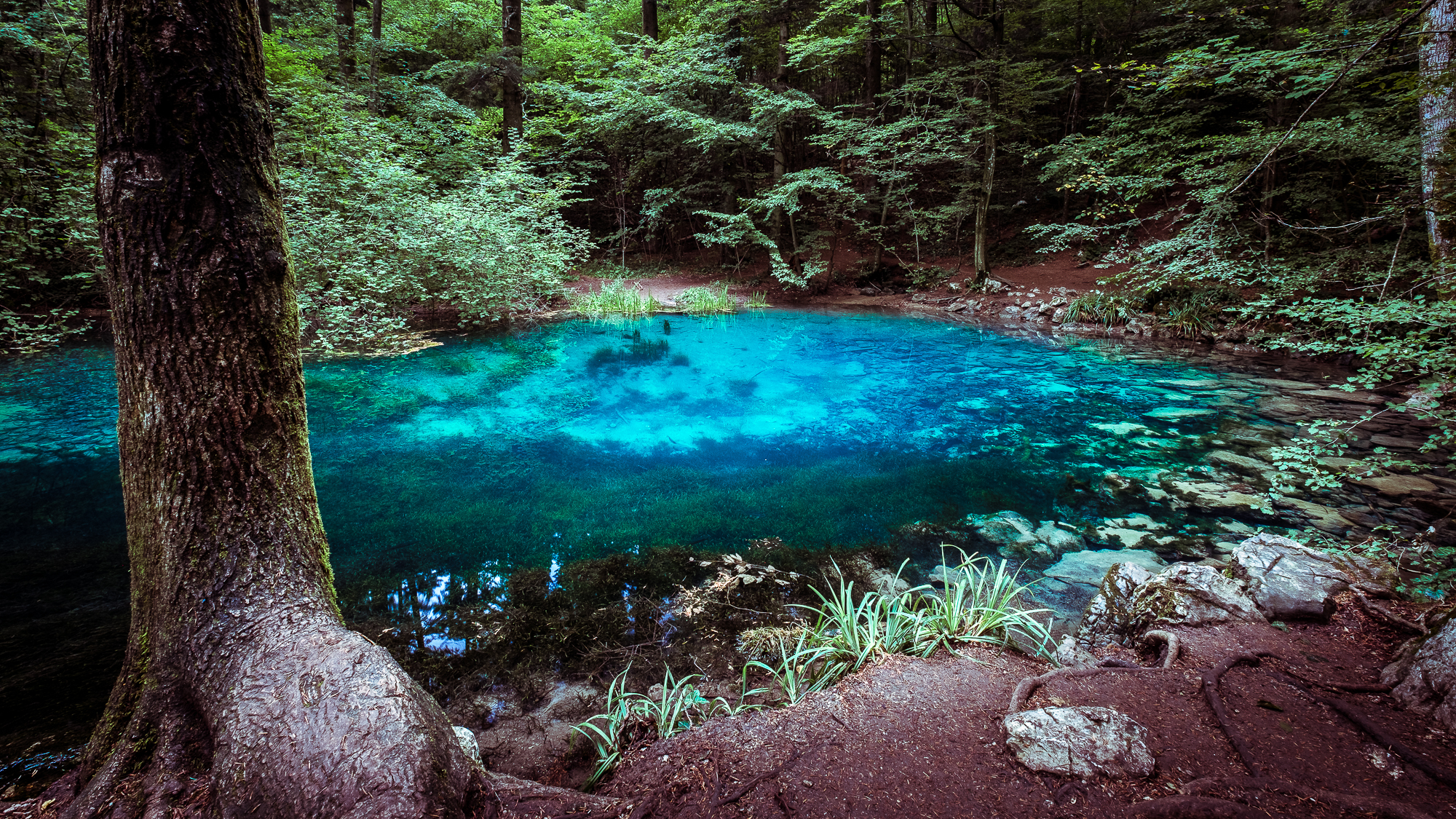 Lacul Ochiul Beiului