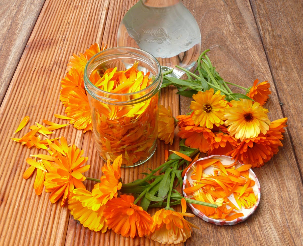 Afacere cu galbenele – pe ce teren să înființezi cultura, de câți bani ai nevoie și câți bani poți face