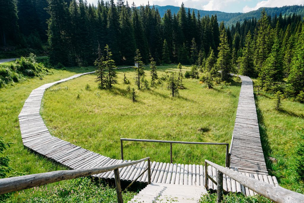 Obiective turistice în Dâmbovița. Turbăria Lăptici