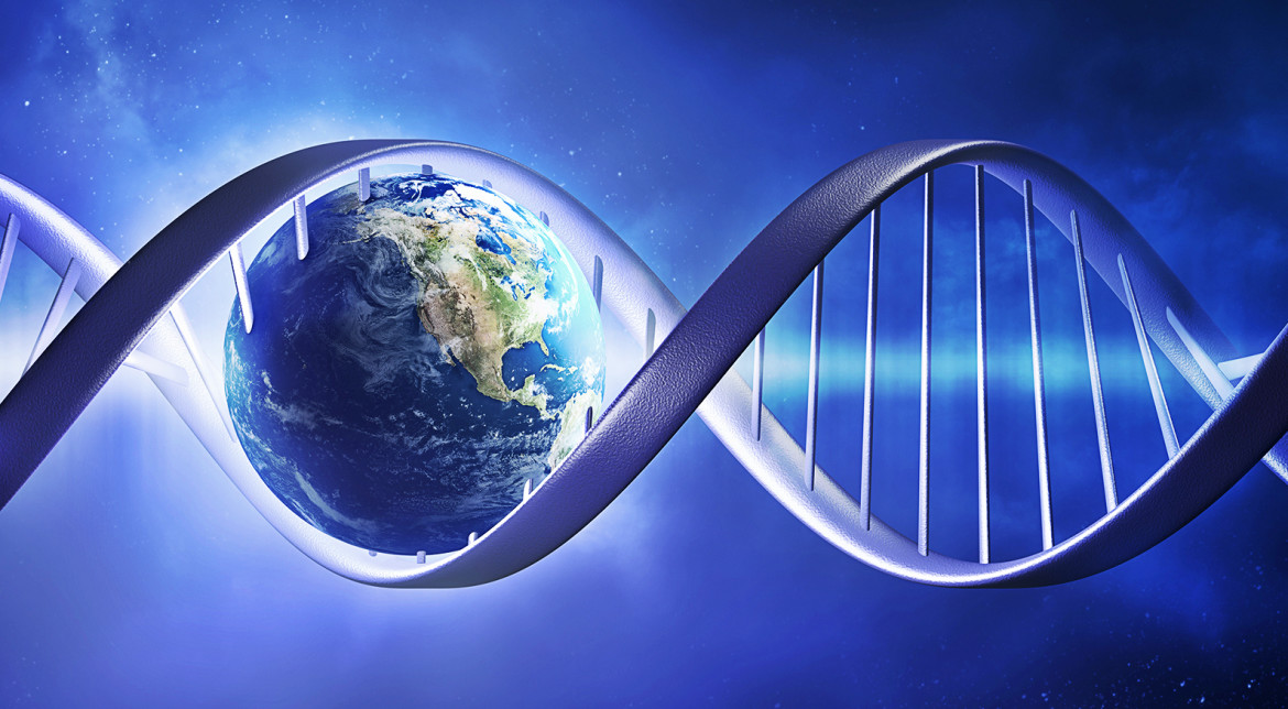 Singurele ființe de pe pământ care au sânge transparent. Unde trăiesc și cu ce se hrănesc