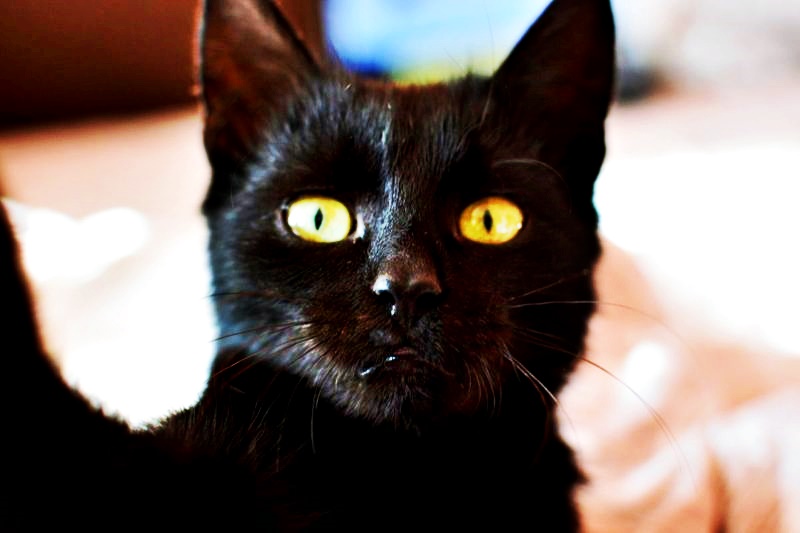 Zodii cu ghinion în 2021 – orice ar face, nu le merge deloc bine