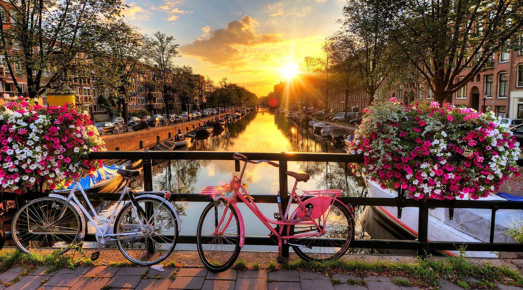 Amsterdam este cunoscut si ca orasul lalelelor