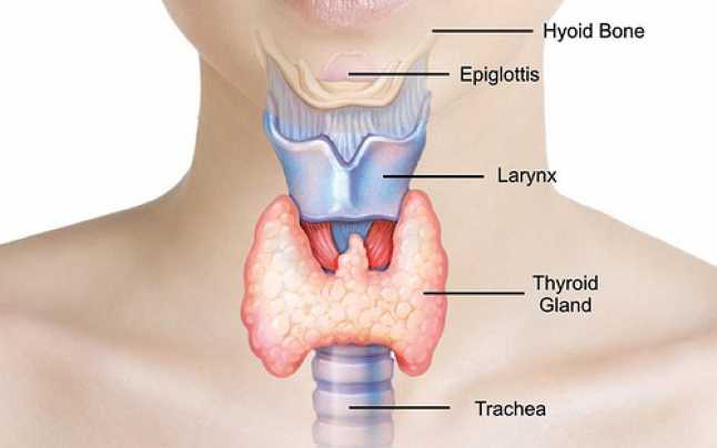 Glanda tiroidă. Hipotiroidie