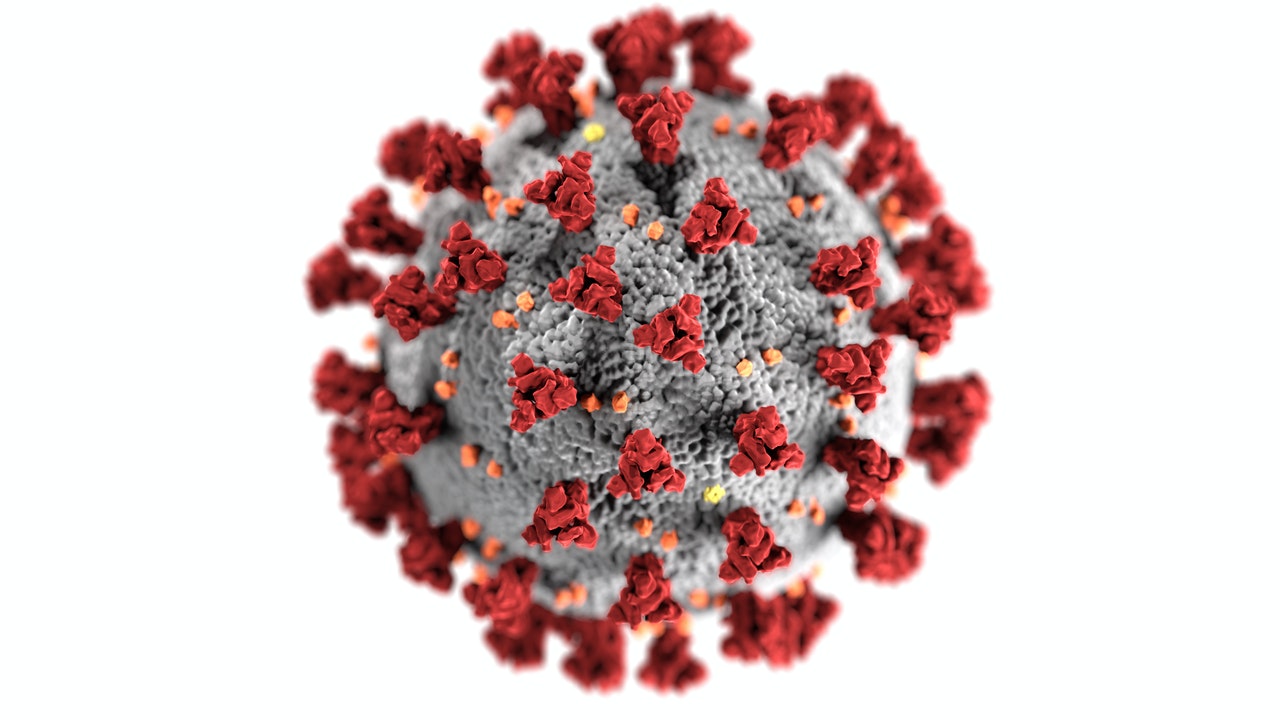 Pandemia de coronavirus a afectat intreaga planeta