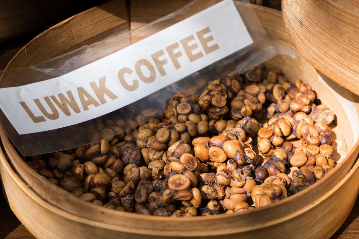 „Kopi Luwak” înseamnă „cafea de la zibete”