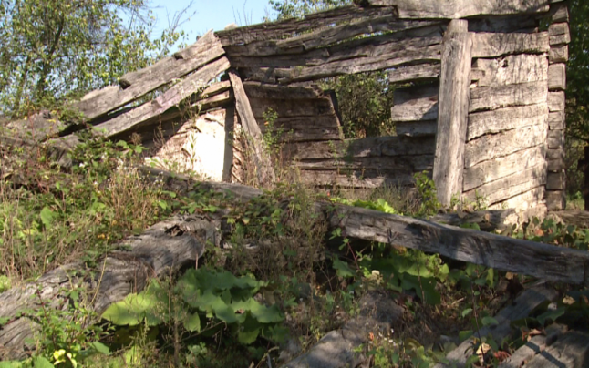 Casa sculptorului român a fost la un pas să fie furată