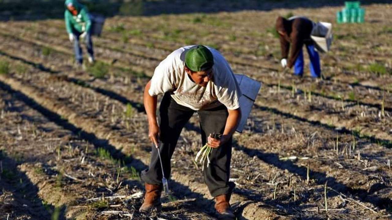 Guvernul face un prim pas pentru respectarea drepturilor muncitorilor români din străinătate