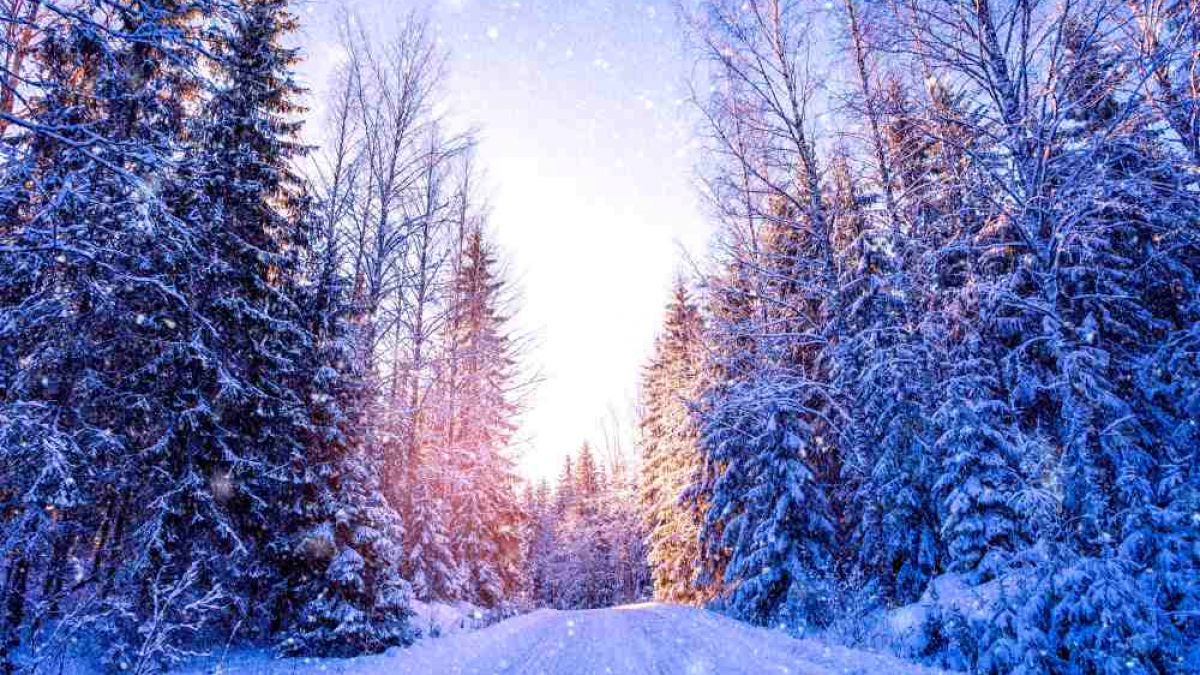 Cum va fi vremea in februarie 2021