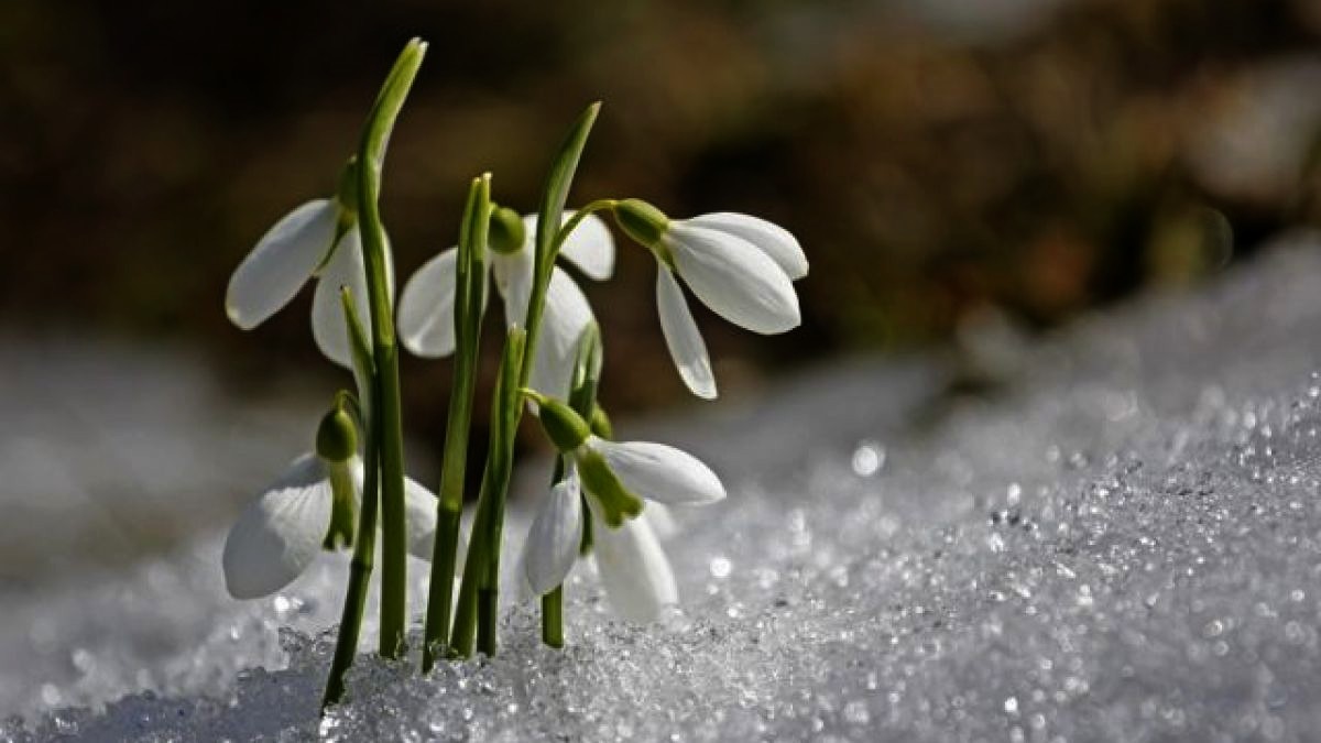 Cum va fi vremea în luna martie 2021