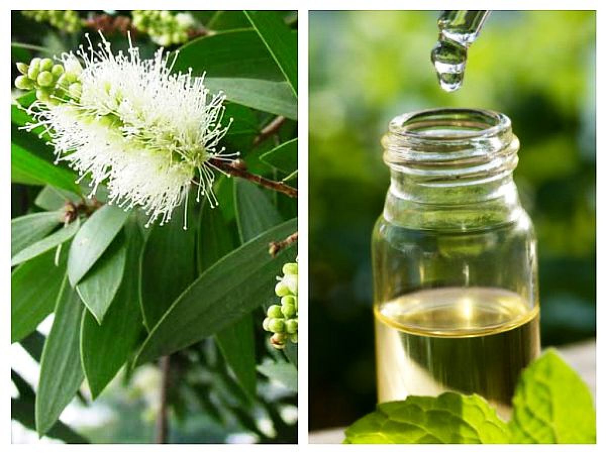 Uleiul antibacterian faimos pentru eficienta impotriva acneei