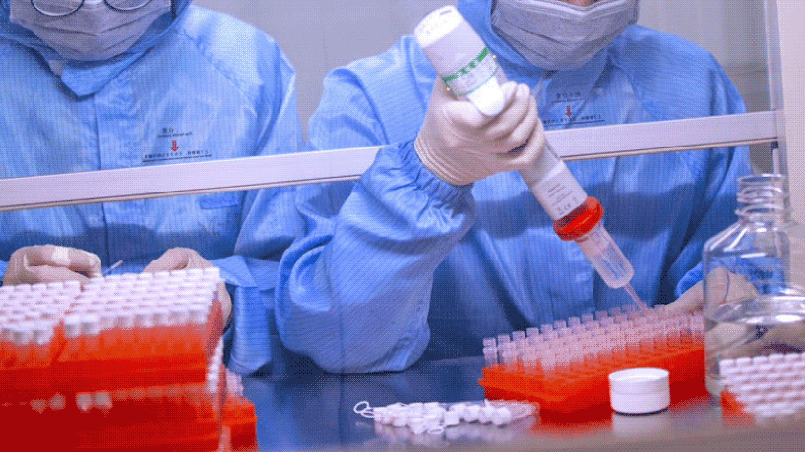 Acest virus îi poate face e oameni mai proști