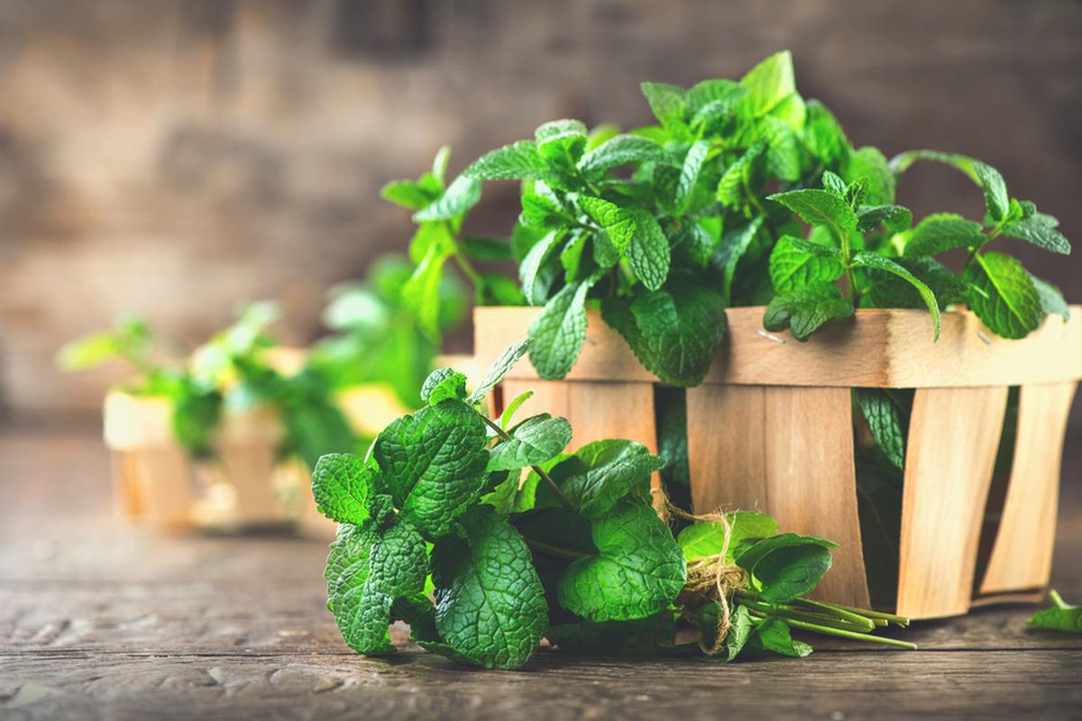 5 rețete cu mentă pentru a vă bucura de frumusețea naturală a pielii