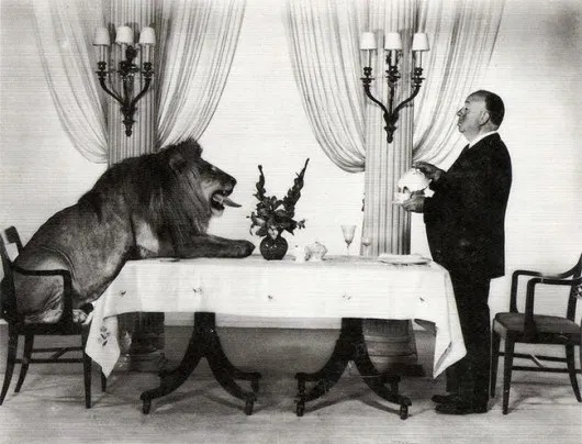 Alfred Hitchock si leul