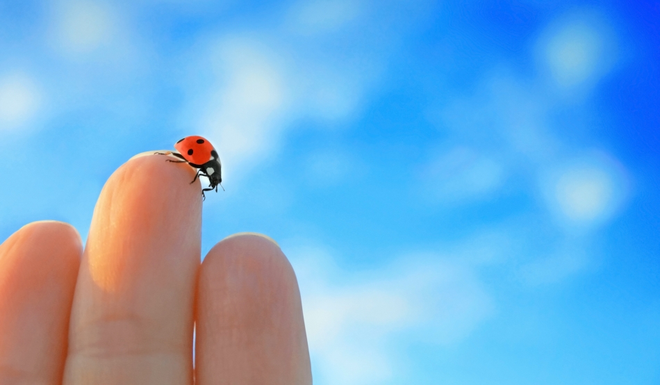 Explicație unei dintre cele mai cunoscute superstiții