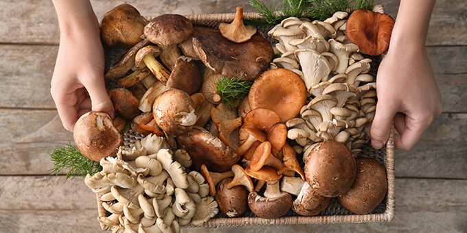 Rețetă de conopidă cu ciuperci