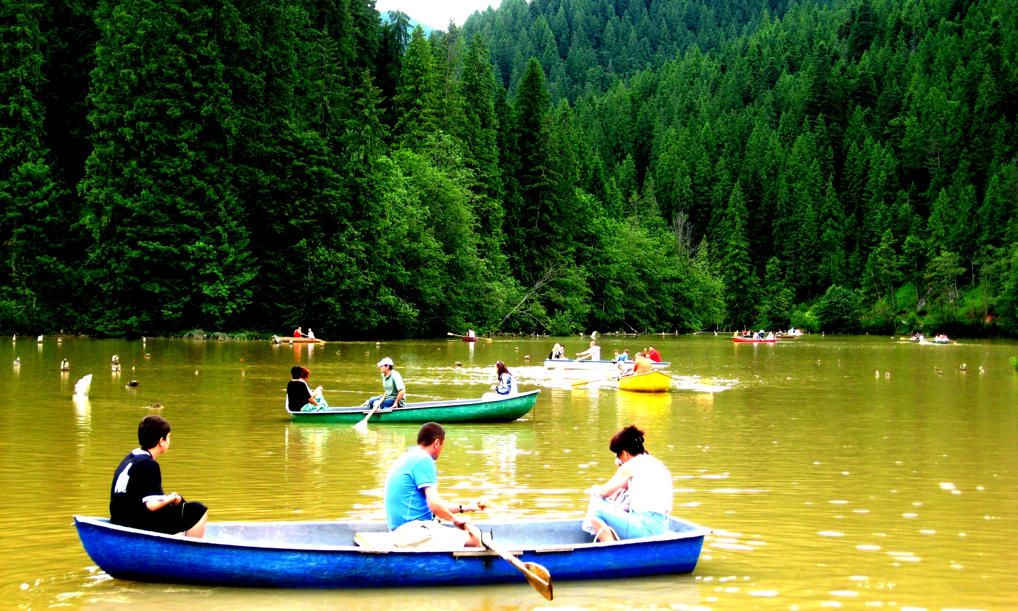 Turiștii pot face plimbări cu barca pe lac pentru a admira mai de aproape stâncile copacilor