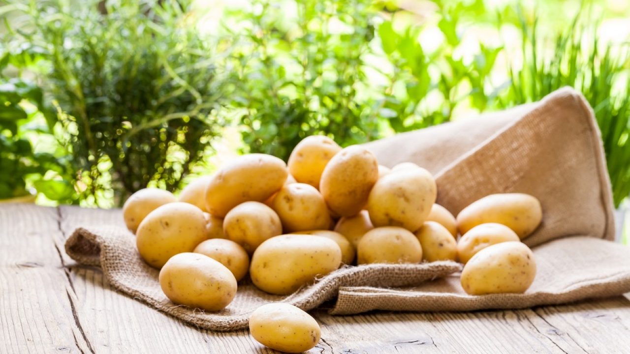 Dieta cu cartofi. Cum a ajuns să arate un bărbat care a mâncat doar cartofi timp de un an