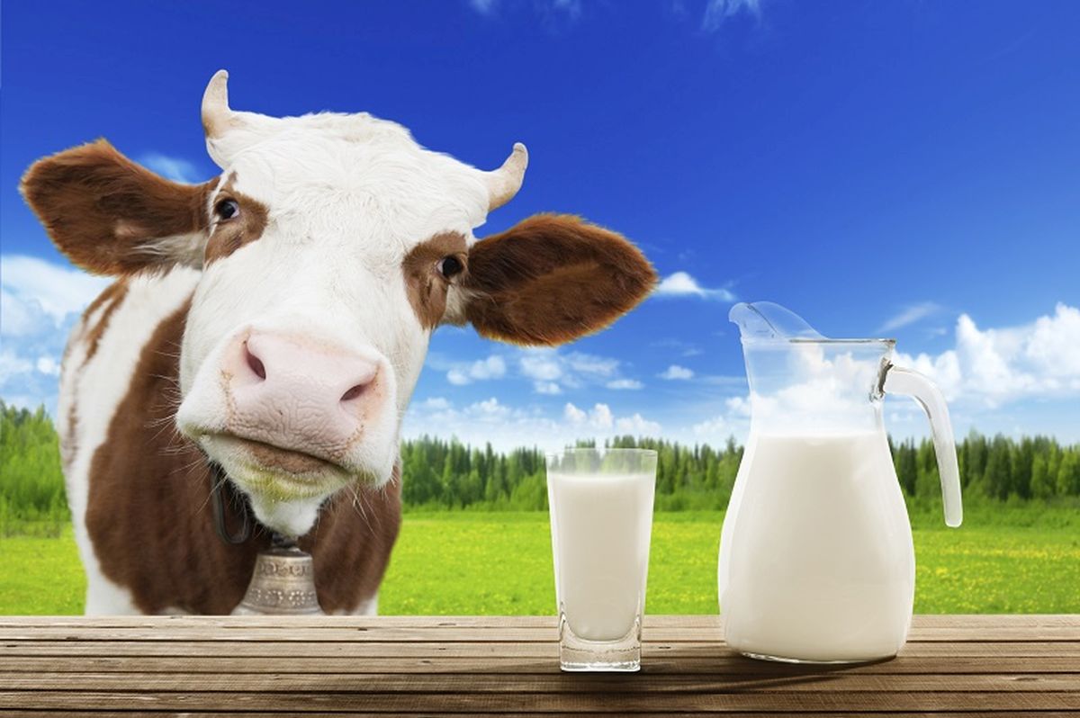 Ce spun specialiștii despre consumul de lapte