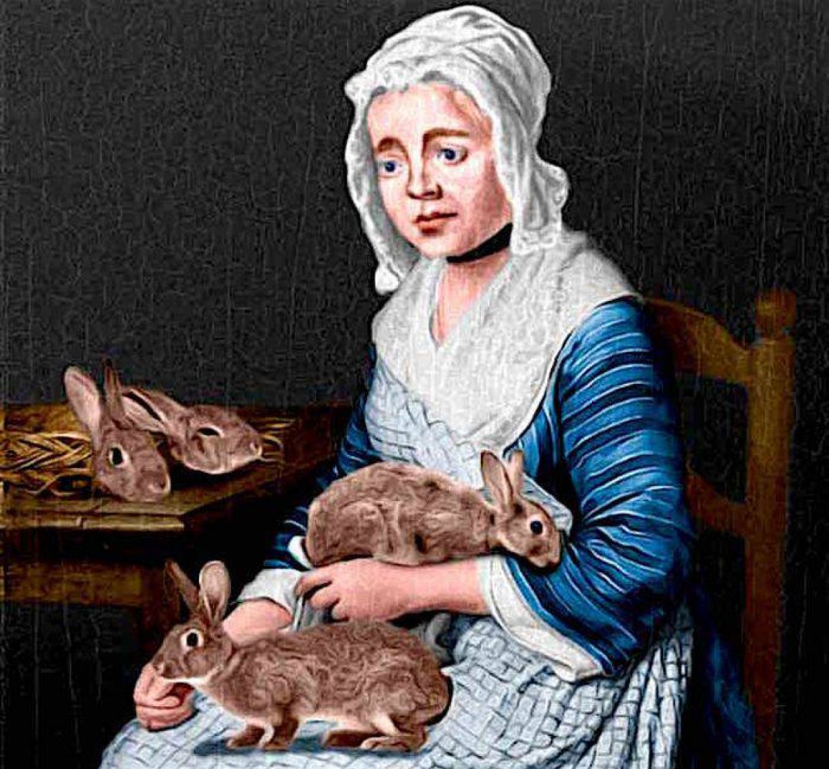 Mary Toft, femeia care a născut iepuri
