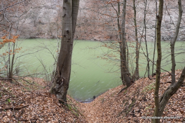 Lacul Cozia Foto: Daniel Guţă. Adevărul