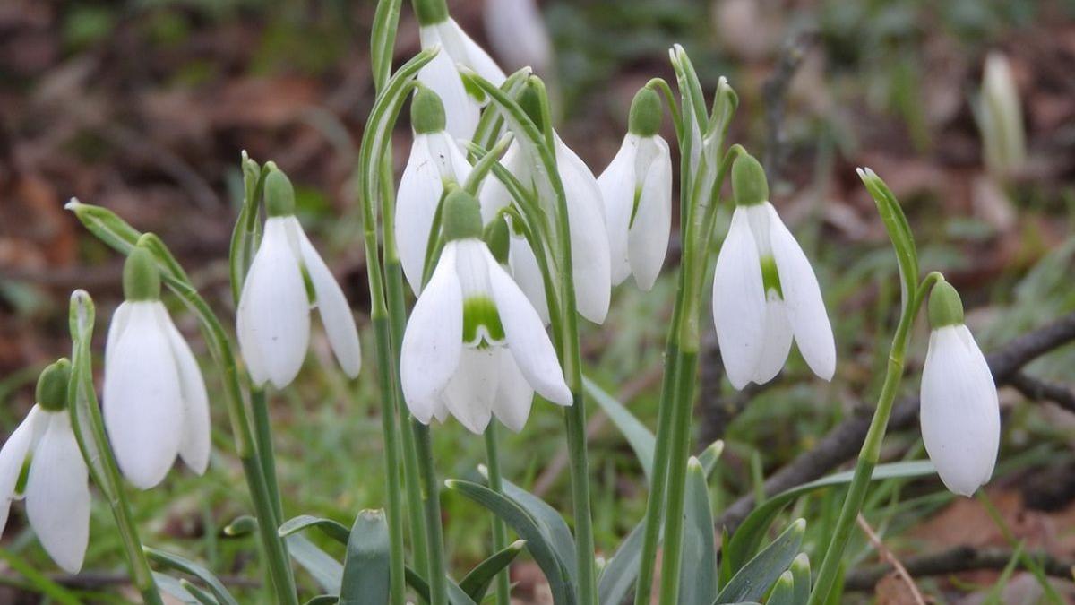 Prognoza meteo 22 martie - 19 aprilie. Când se încălzește vremea în România