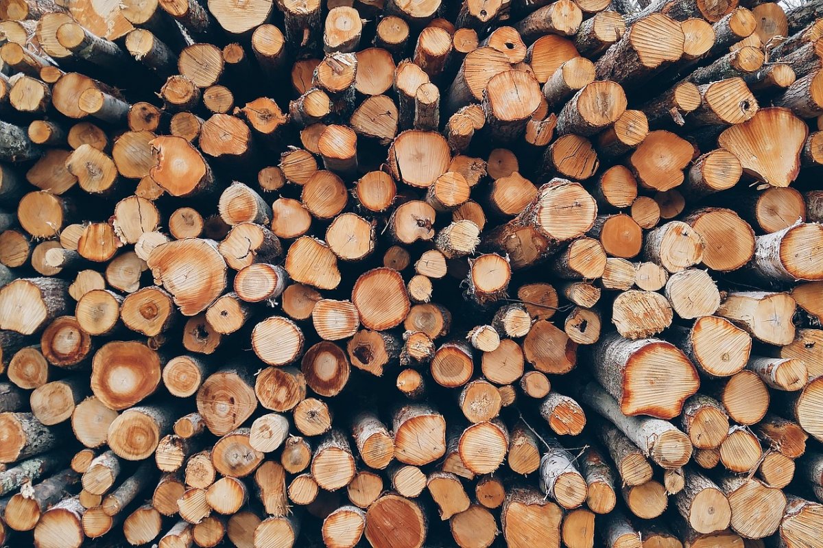 Prețul lemnelor variază în funcție de mai mulți factori