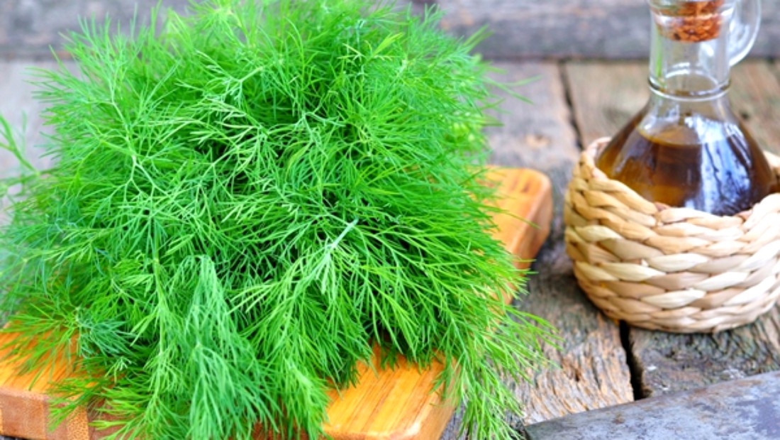 Ce se întâmplă în corpul tău atunci când consumi mărar. Opt efecte uimitoare