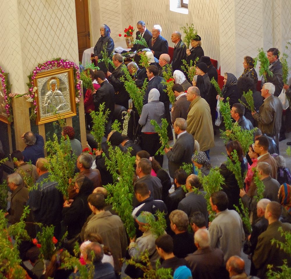 Ce simbolizeaza salcia in Biblie