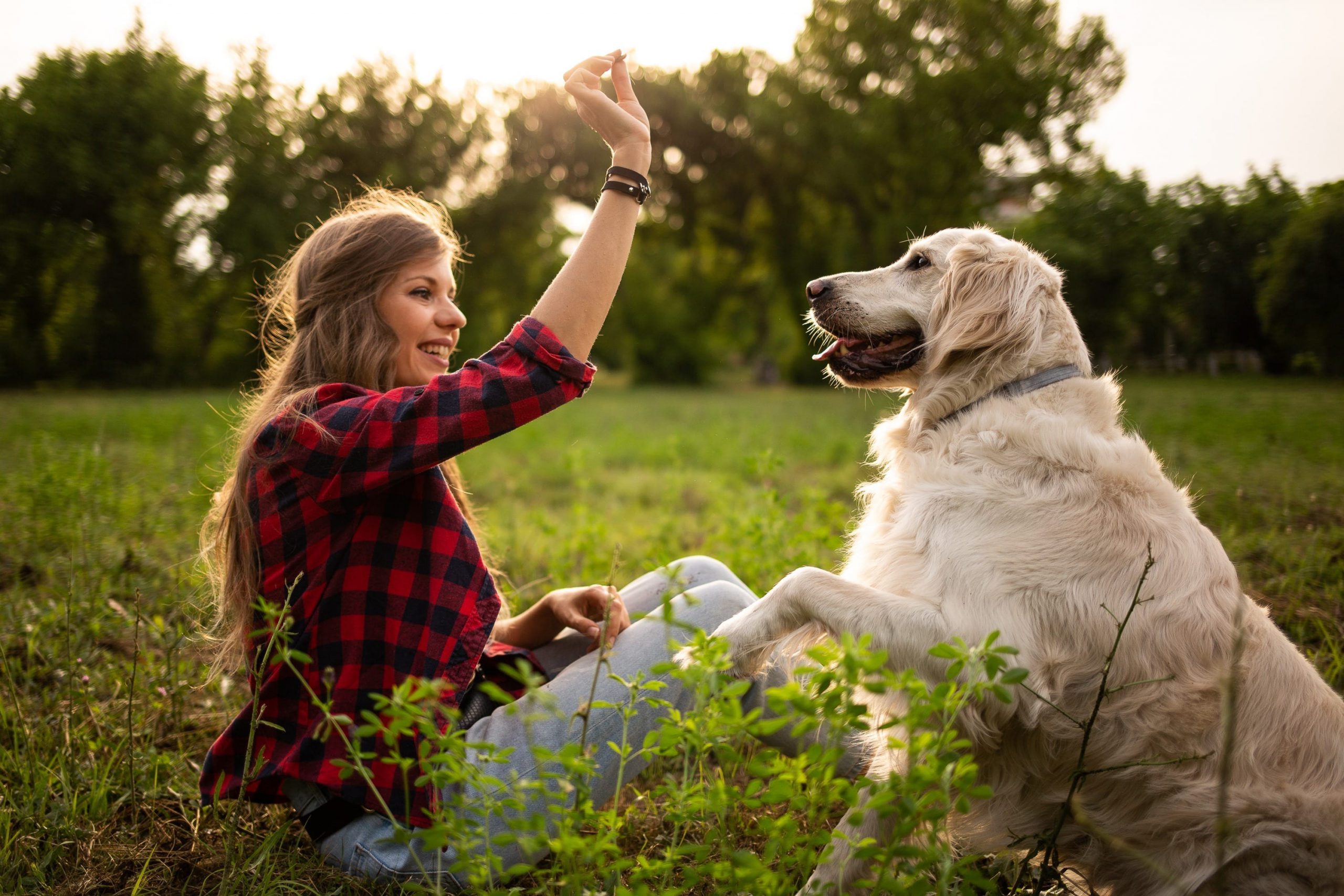 Ce spune animalul tau de companie despre tine