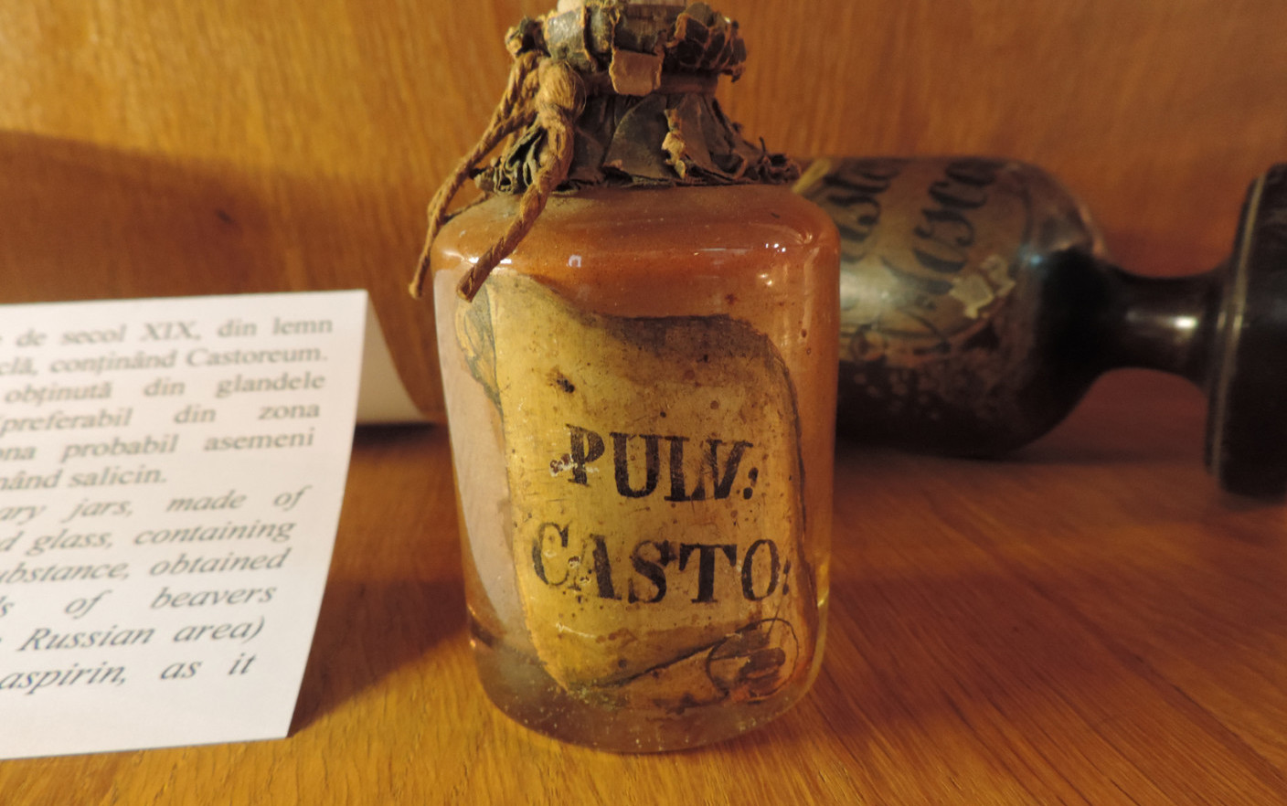 Leacuri bizare din istorie. Praful de cadavre și excrementele de animal, pe lista tratamentelor. Pentru ce erau folosite de fapt