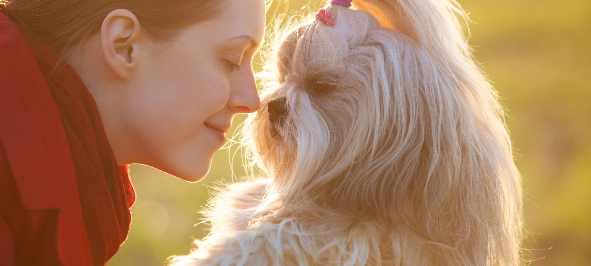 Nume de animal de companie