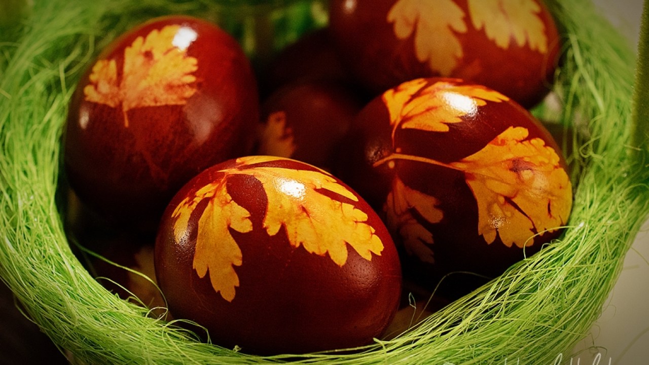 Ouă vopsite natural cu coji de ceapă sau sfeclă roșie