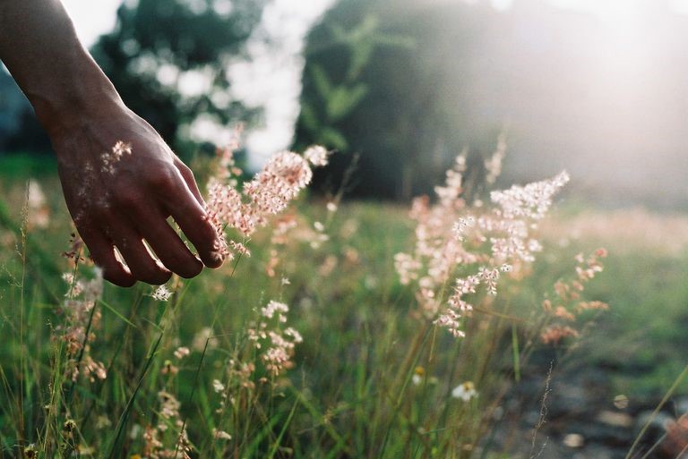 Mercur în Taur. Progres