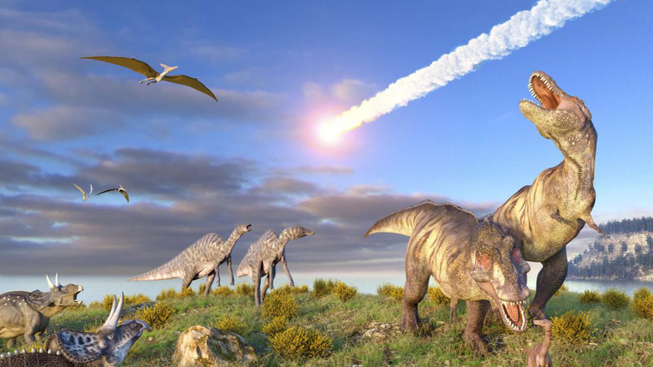 Câți Tyrannosauru Rex au existat pe suprafața Terrei