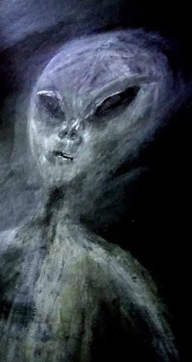 Paula a pictat o imagine a unui extraterestru de argint pentru a evidenția cum arată / Sursă foto: CATERS NEWS