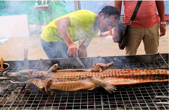 Friptura de crocodil