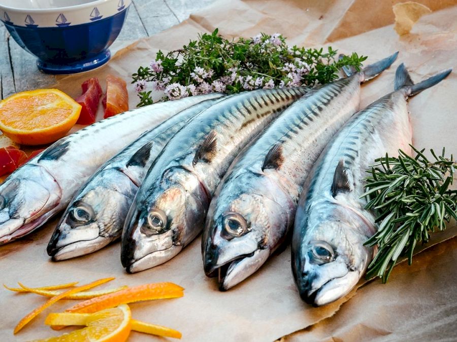 Care sunt peștii fără oase