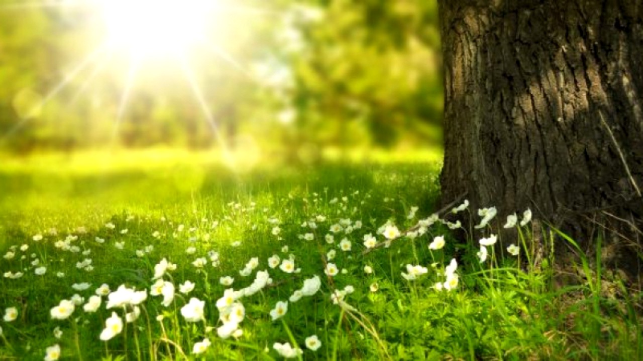 Prognoza meteo 10 mai-23 mai 2021