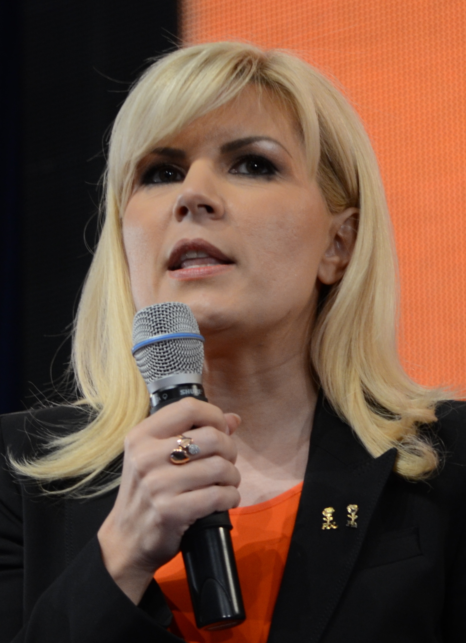 Elena Udrea, fost ministru al Turismului