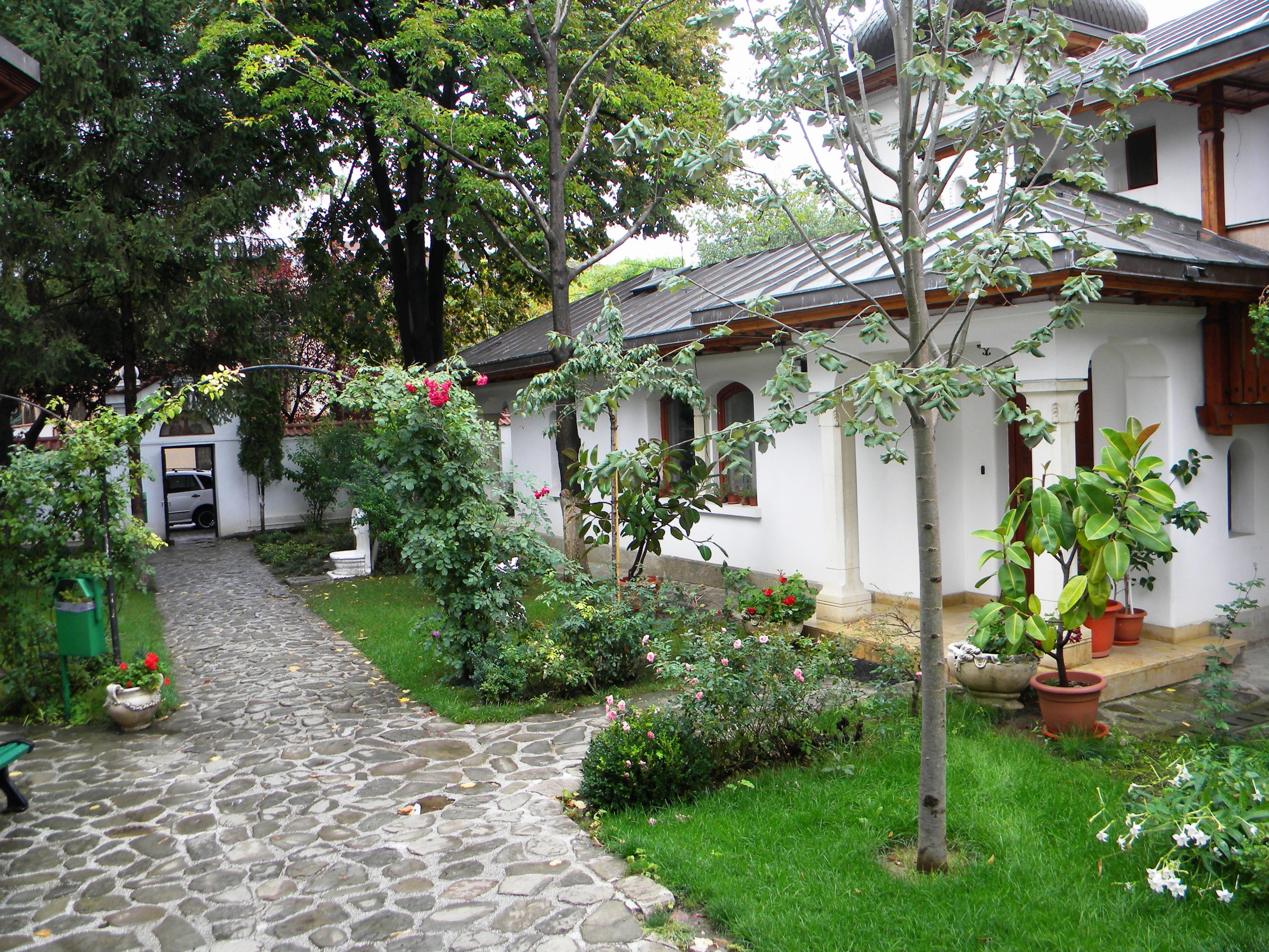 Schitul Dârvari