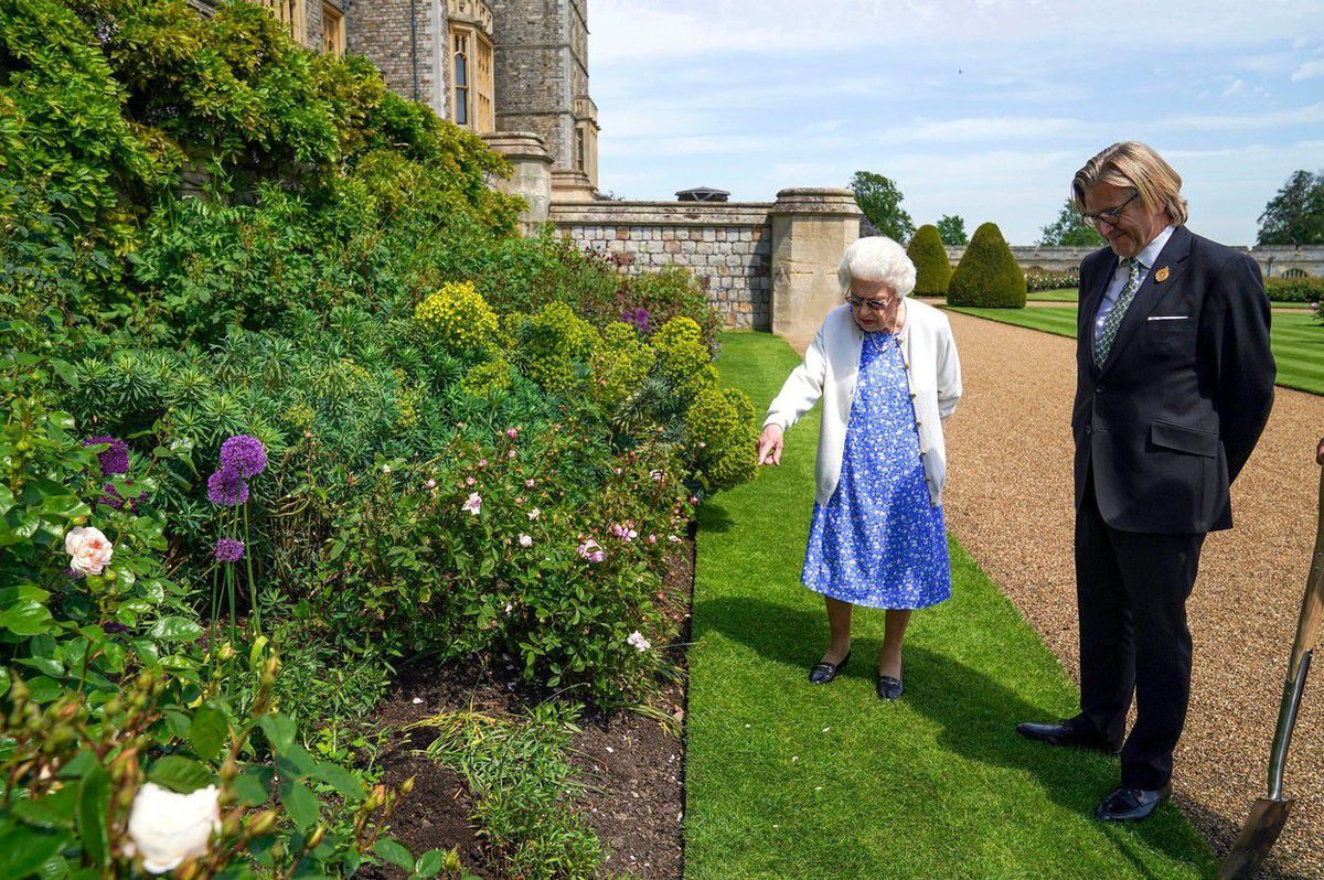Regina Elisabeta a plantat un trandafir, în semn de omagiu pentru Prințul Philip